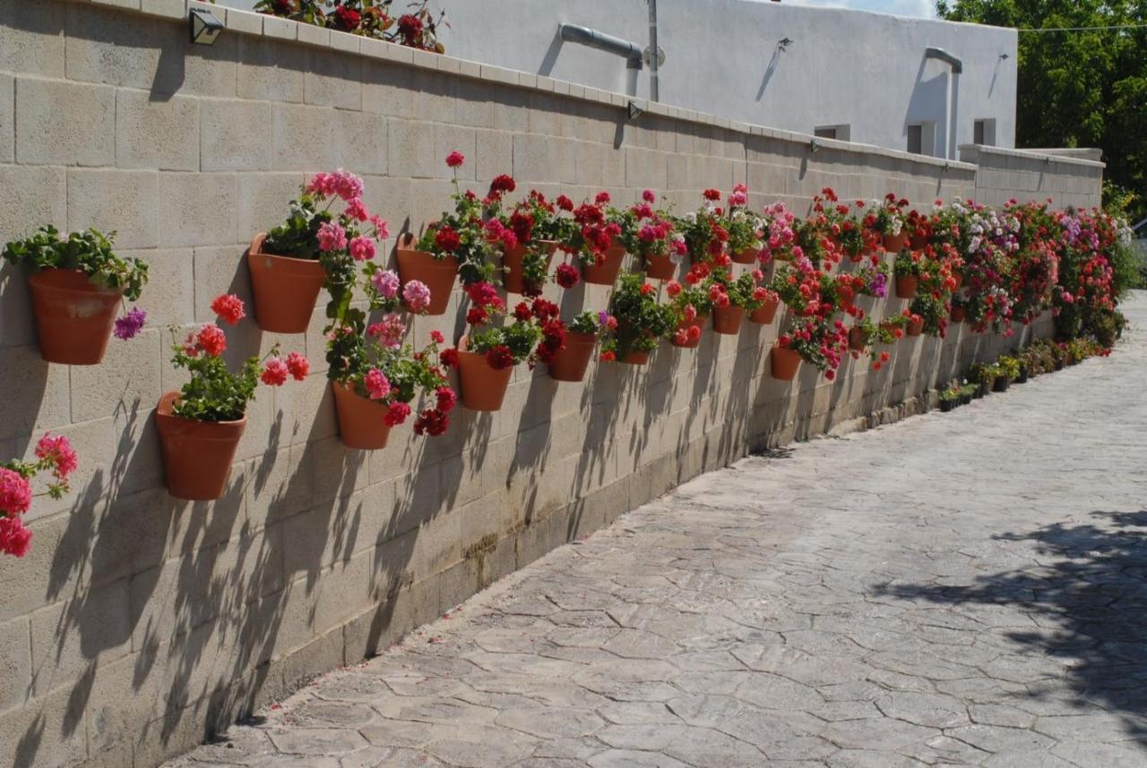 Pueblos Blancos Vejer de la Frontera Exterior photo